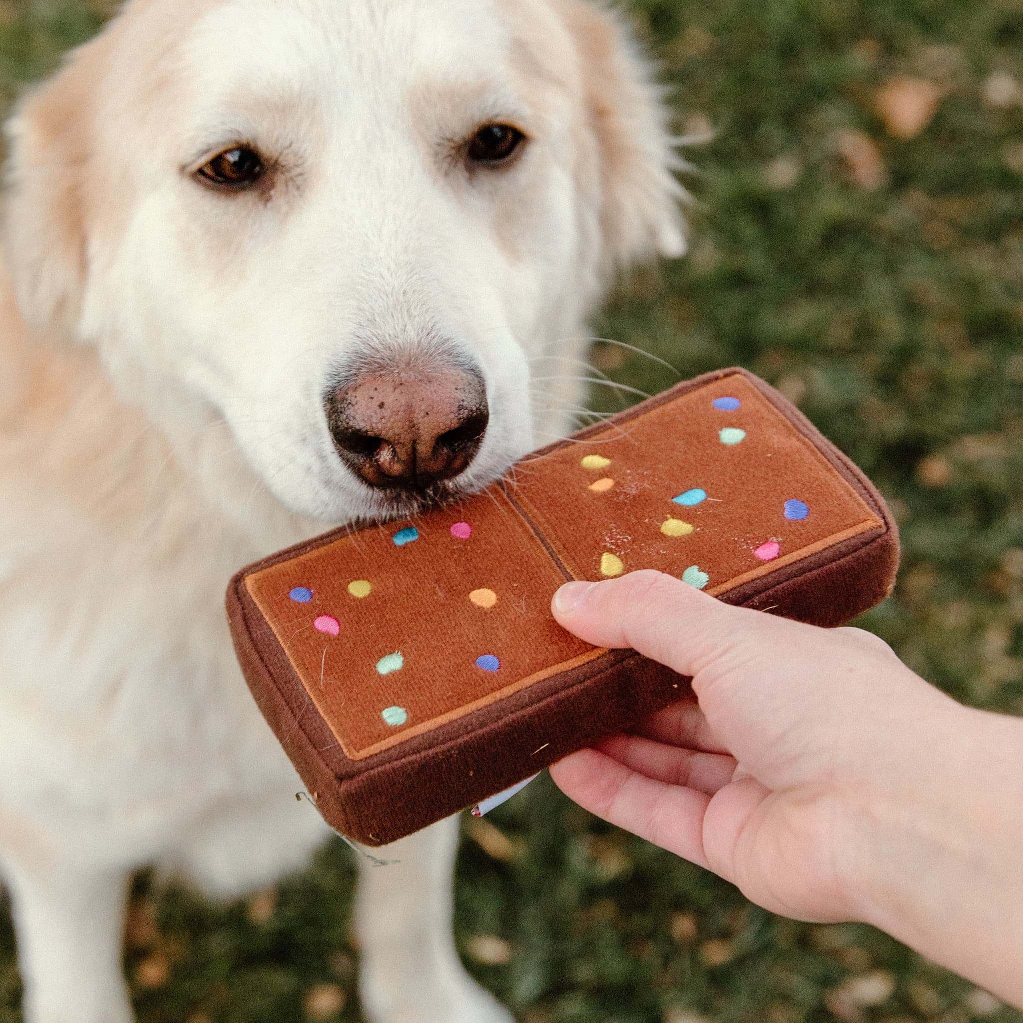 Cosmic® Brownies Small Dog Toy - Image 6